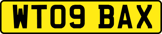 WT09BAX