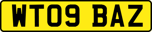 WT09BAZ