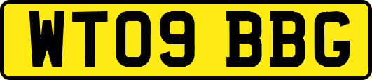 WT09BBG