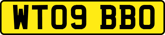 WT09BBO