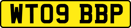 WT09BBP