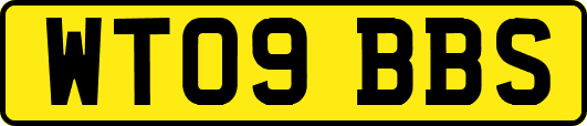 WT09BBS