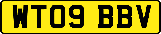 WT09BBV