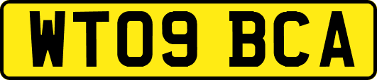 WT09BCA