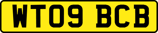 WT09BCB