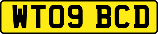 WT09BCD