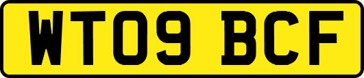 WT09BCF