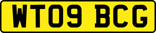 WT09BCG