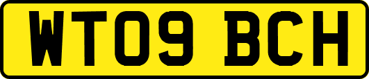 WT09BCH