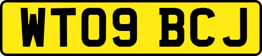 WT09BCJ