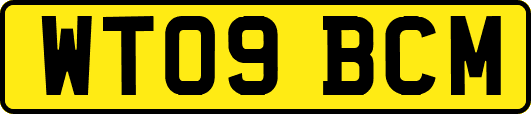 WT09BCM