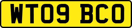 WT09BCO