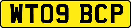 WT09BCP
