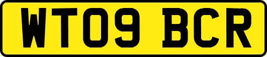 WT09BCR