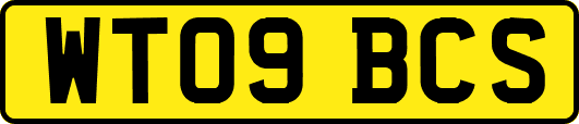 WT09BCS