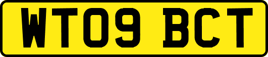 WT09BCT