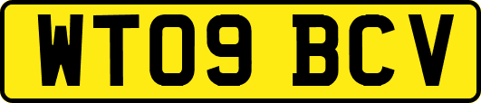 WT09BCV