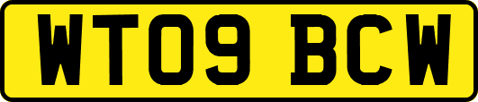 WT09BCW