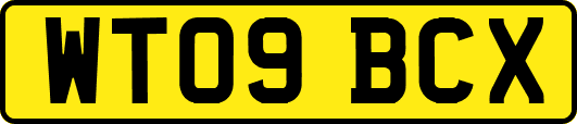 WT09BCX