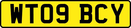 WT09BCY