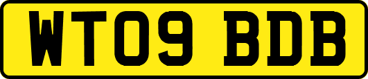 WT09BDB