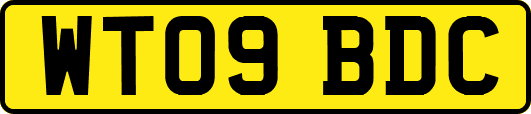 WT09BDC