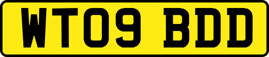 WT09BDD