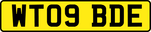 WT09BDE