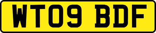 WT09BDF
