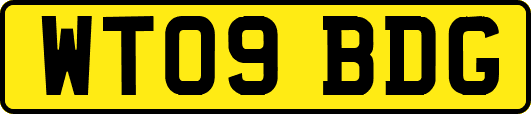 WT09BDG