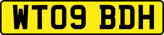 WT09BDH