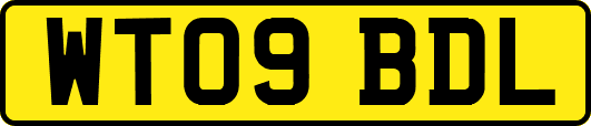 WT09BDL