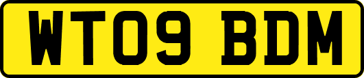 WT09BDM