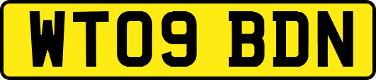 WT09BDN