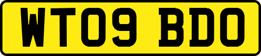 WT09BDO