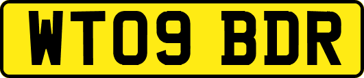WT09BDR