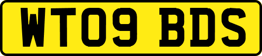 WT09BDS
