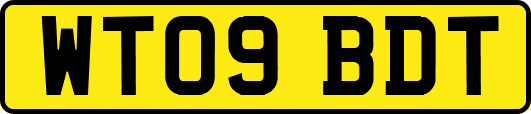 WT09BDT
