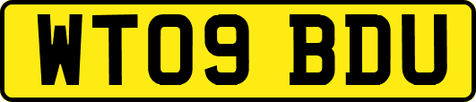 WT09BDU