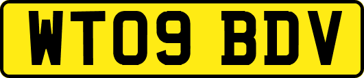 WT09BDV