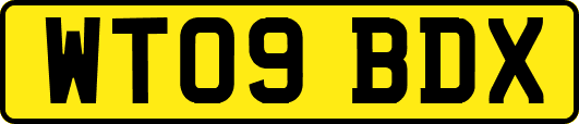 WT09BDX