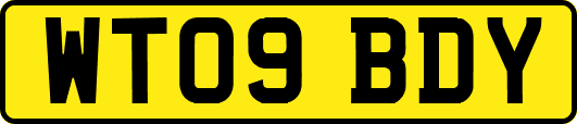 WT09BDY