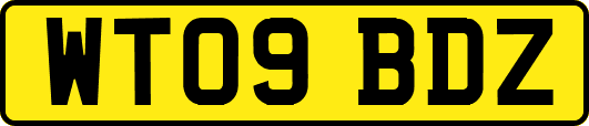WT09BDZ