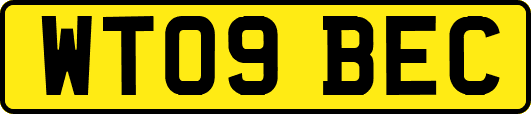 WT09BEC
