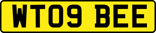 WT09BEE