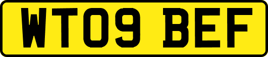 WT09BEF