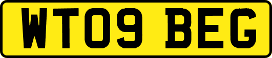WT09BEG