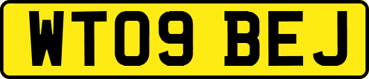 WT09BEJ