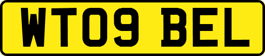 WT09BEL