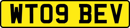 WT09BEV
